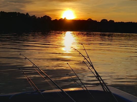 Werlsee (Grünheide)-3