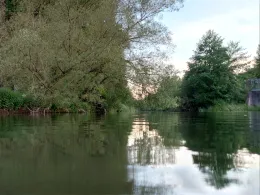 Diemel (Rimbeck-Scherfede)-2