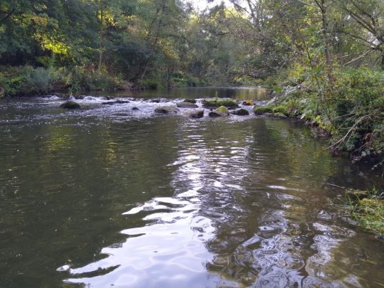 Diemel (Rimbeck-Scherfede)