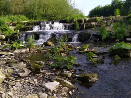 Diemel (Rimbeck-Scherfede)-1