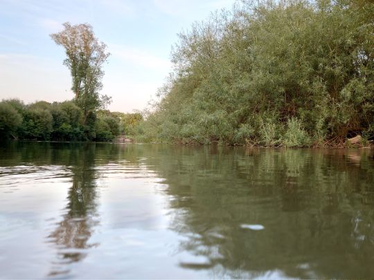 Diemel (Rimbeck-Scherfede)-3