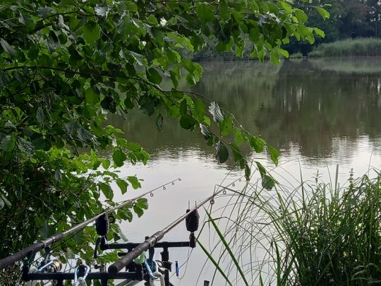 Alschteich (Ponickau)-4
