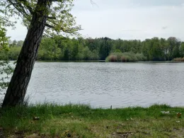 Alschteich (Ponickau)-2