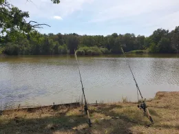 Alschteich (Ponickau)