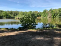 Alschteich (Ponickau)-3