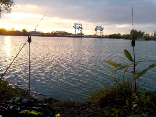 Rheinhafen Lauterbourg-3