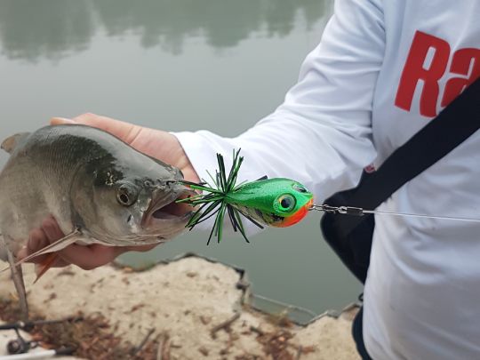 Rheinhafen Lauterbourg-4