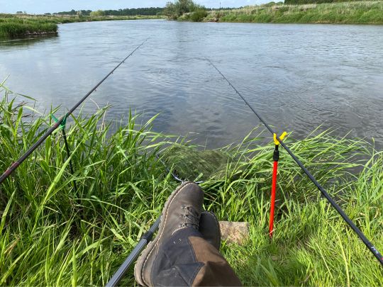 Aller (Ahlden/Hodenhagen)-2