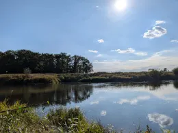 Aller (Ahlden/Hodenhagen)-4