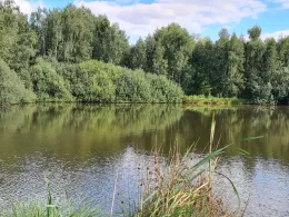 Weickelsdorfer Teich-2