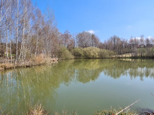 Weickelsdorfer Teich-3