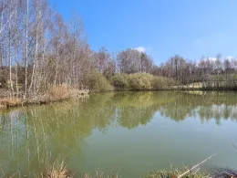 Weickelsdorfer Teich-3