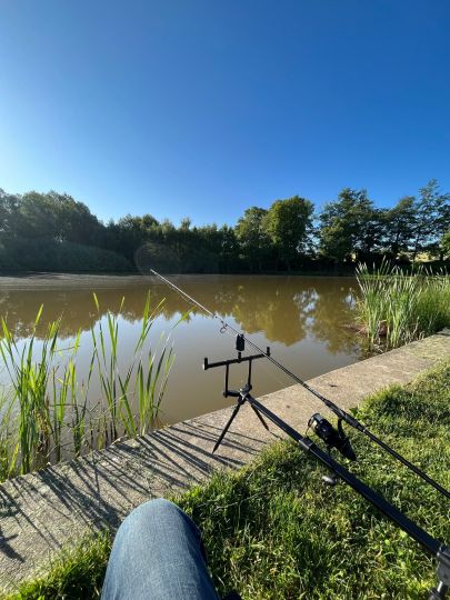 Weickelsdorfer Teich-4