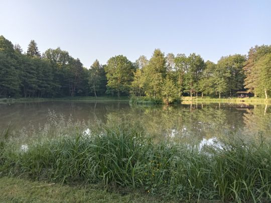 Egloffsteiner Weiher-4