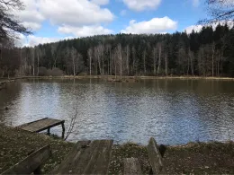 Egloffsteiner Weiher