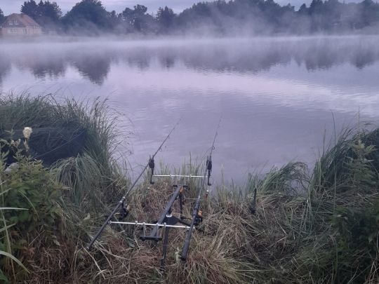 Oberer Teich (Stiege) angeln