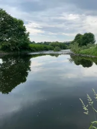 Sieg (Blankenberg)-1