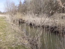 Fichtenohe (Pegnitz)