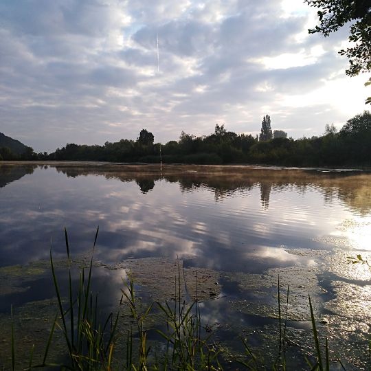 Taubenborn 2 (Höxter)