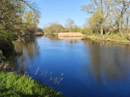 Alte Saale Tebnitz-1