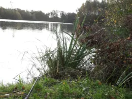 Kolk Onken (Veenhusen)-3