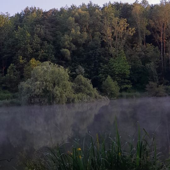 Hauserbachsee (Miehlen)-1