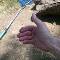 Südlicher See (Porta Westfalica)