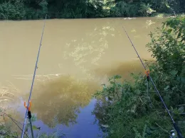 Nidda-Altarm (Frankfurt-Bonames)