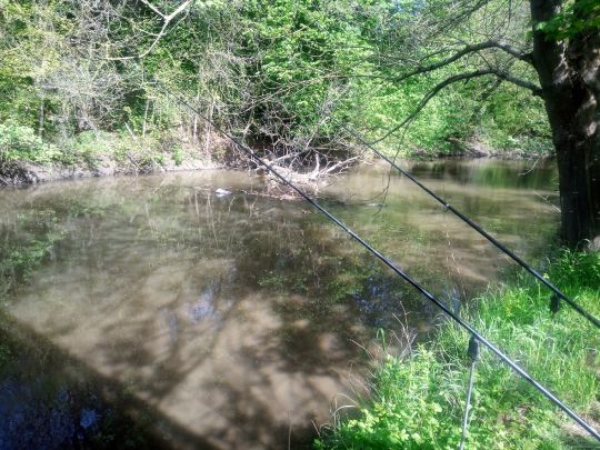 Nidda-Altarm (Frankfurt-Bonames)-3