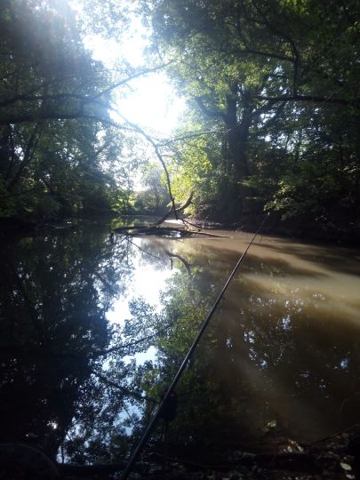 Nidda-Altarm (Frankfurt-Bonames)-1