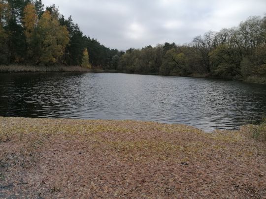 See am Waldrand (Reuden)