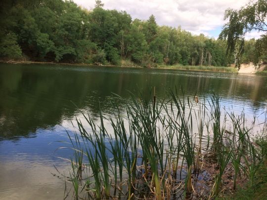 See am Waldrand (Reuden)-3