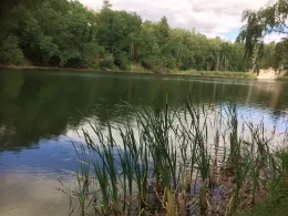 See am Waldrand (Reuden)-3