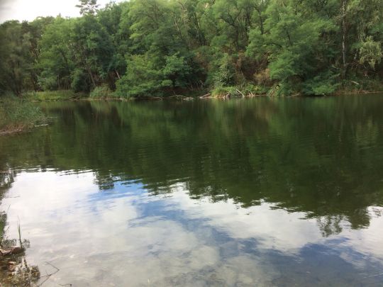 See am Waldrand (Reuden)-0