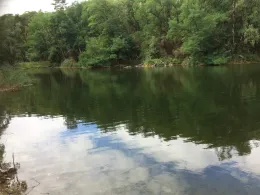 See am Waldrand (Reuden)-0