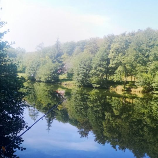 Schwellengrund Weiher
