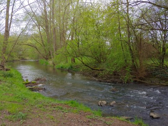 Kander (Eimeldingen)