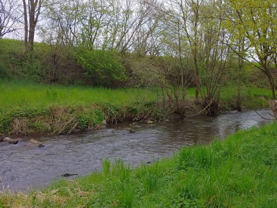 Kander (Eimeldingen)-1