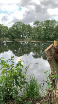 Erdeloch Hohenferchesar