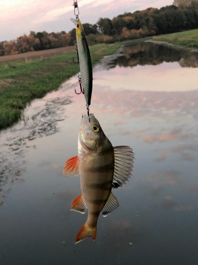 Nordradde (Meppen)-1