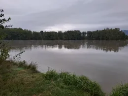 Petersweiher (Tröstau)-4