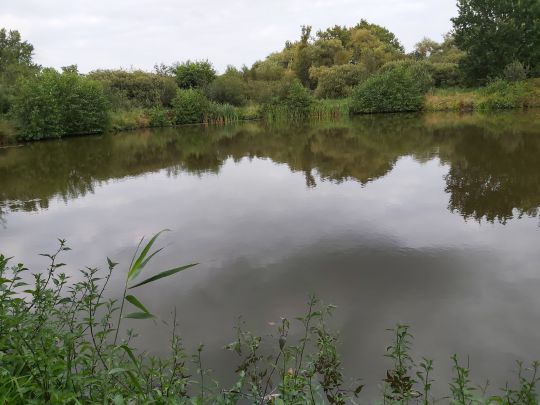 Lundener Moorteiche-1