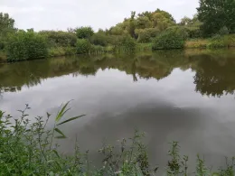 Lundener Moorteiche-1