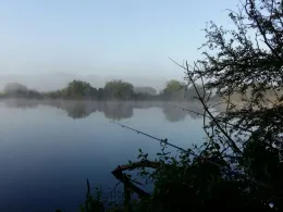 Torfgewässer Vier Pfähle