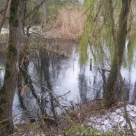 Pappelgrund (Teutschenthal)-2