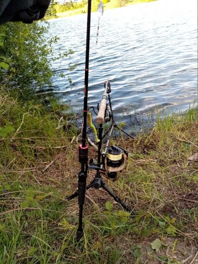 Oberschopfheimer Angelsee-3