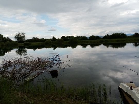 Oberschopfheimer Angelsee-4