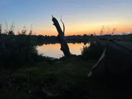 Schulze-Hübner-Stich (Mildenberg)