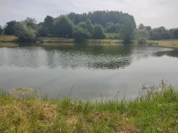 Jüdenlohbächel (Heinsdorfergrund) -3