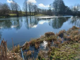 Jüdenlohbächel (Heinsdorfergrund) -2